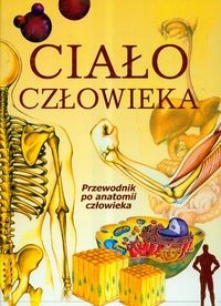 Cia�o cz�owieka przewodnik po anatomii cz�owieka