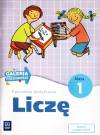 Ćwiczenia dodatkowe. Liczę. Klasa 1