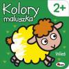 Kolory maluszka Wieś