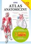 Atlas anatomiczny