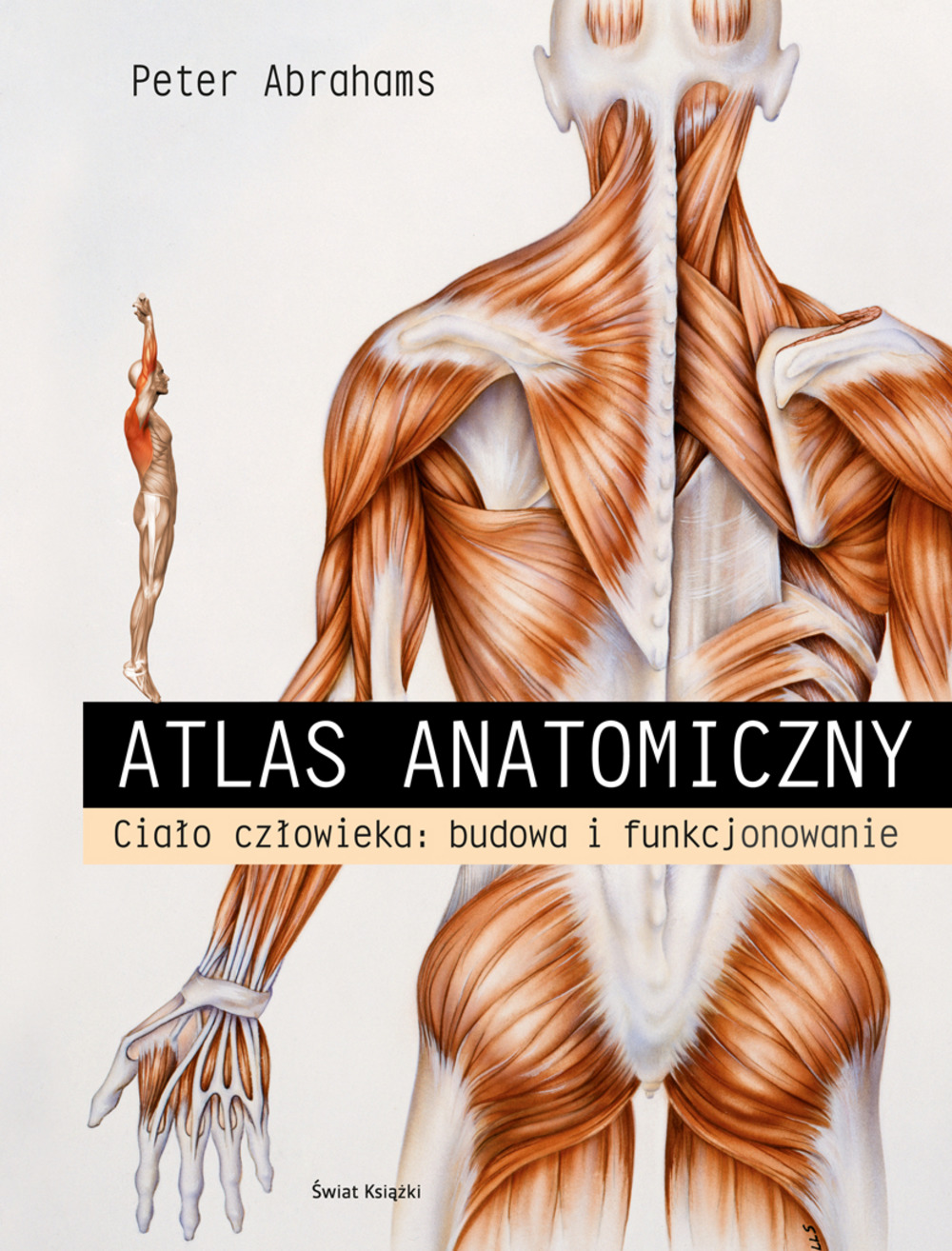 Atlas Anatomiczny. Ciało Człowieka: Budowa I Funkcjonowanie - Peter ...